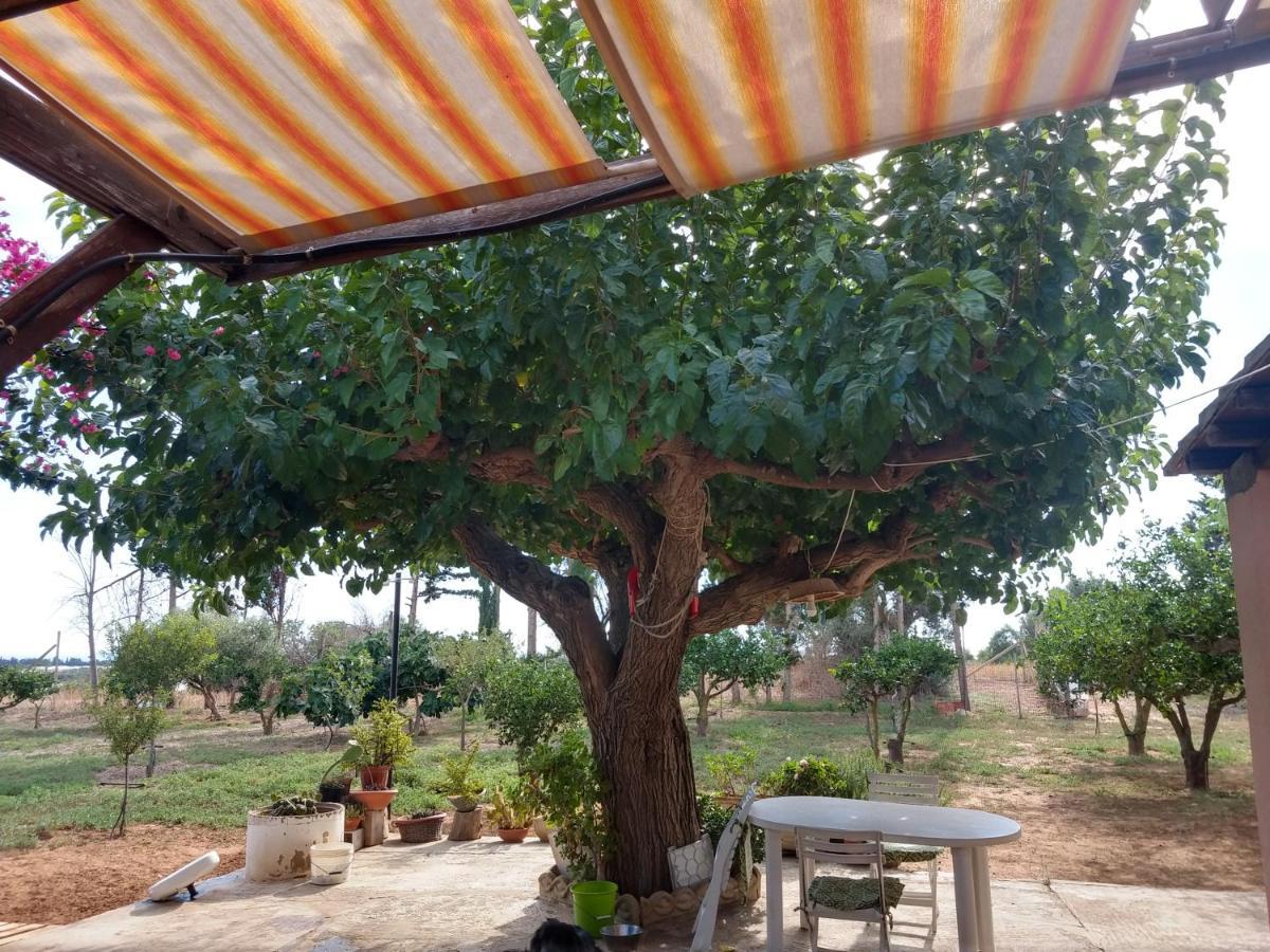 Il Gazebo Bed and Breakfast Scoglitti Exteriör bild
